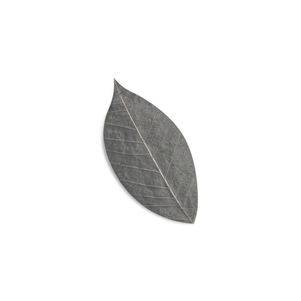 Soap leaves - Coconut charcoal